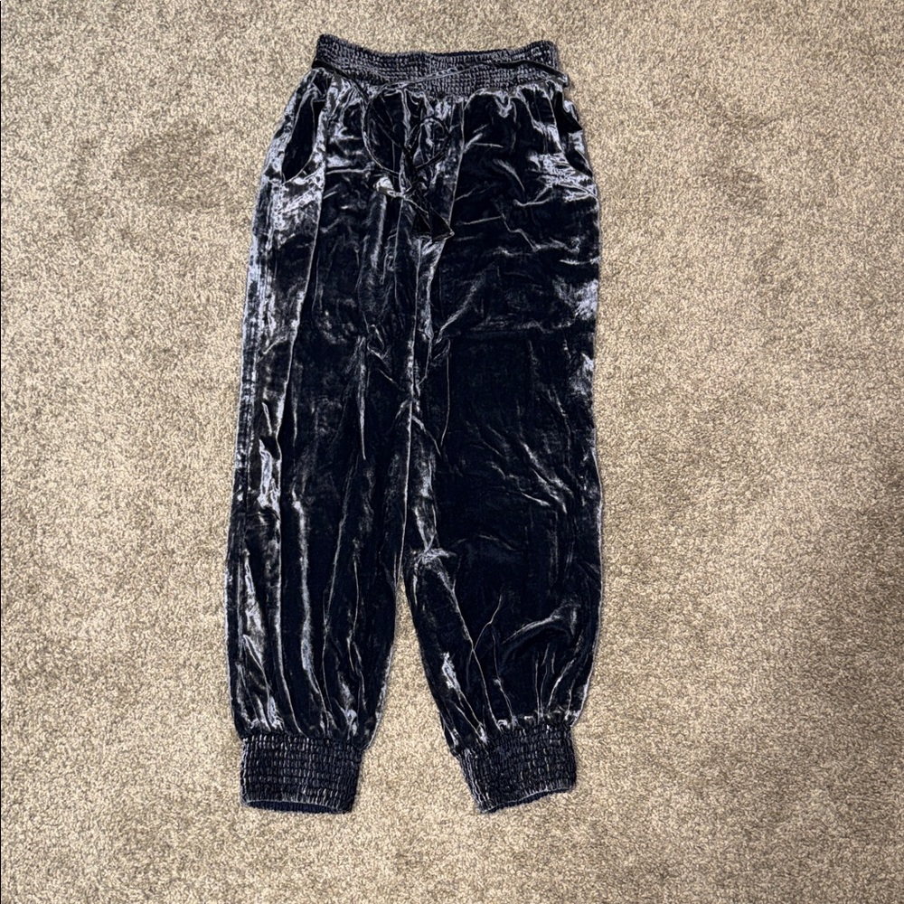 Anthropologie Charcoal Velvet Joggers
